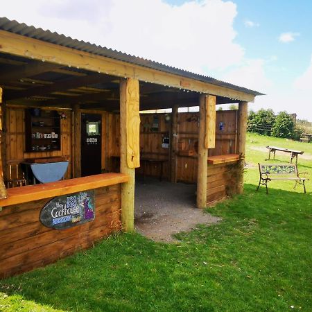 Bluebell Off-Grid Van Нютън Стюарт Екстериор снимка